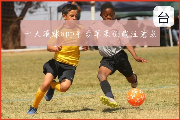 十大滚球app平台苹果侧载注意点