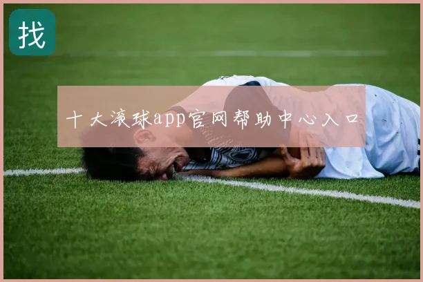 十大滚球app官网帮助中心入口